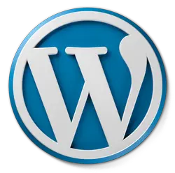 Opieka WordPress